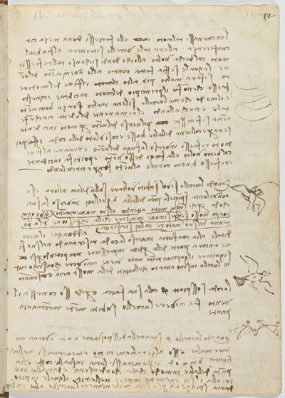 Code sur le vol des oiseaux, c. 1505-06, manuscrit sur papier, cc. 18, feuille 12 recto - Leonardo da Vinci